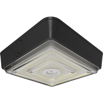 RAB VAN LED Canopy Light - 5,696 Max Lumens - 20 | 30 | 40W - CCT Selectable - 120-277V - Bronze