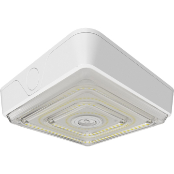 RAB VAN LED Canopy Light - 5,696 Max Lumens - 20 | 30 | 40W - CCT Selectable - 120-277V - White
