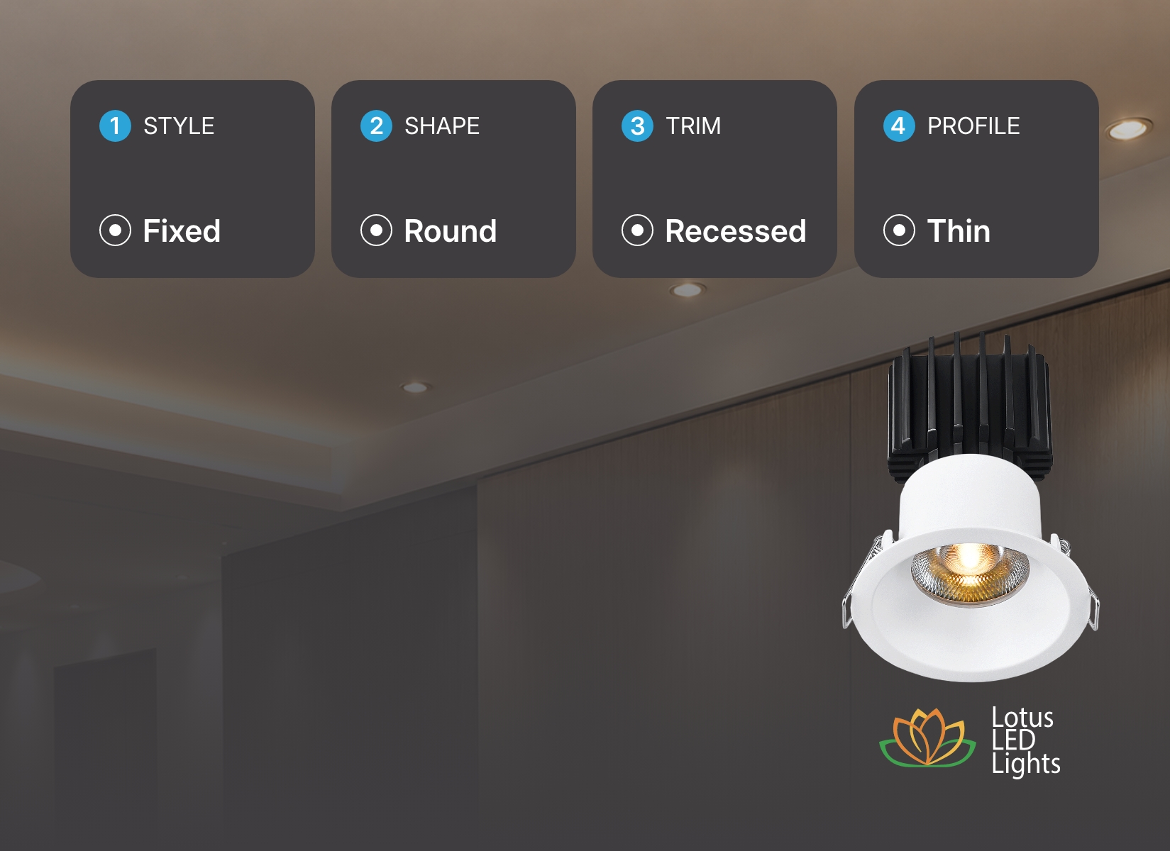 Build Your Own Downlight